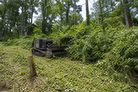 Mulcher opening a fence line choked by privet and kudzu near Shades Mountain