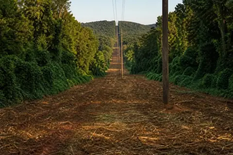 Straight mulched utility corridor rising over a wooded Alabama ridge