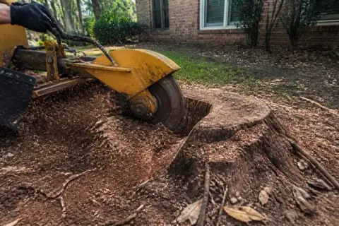 Stump grinder cutting an oak stump beside a brick home on Alabama red clay